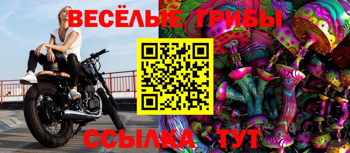 Галлюциногенные грибы прущие грибы Ейск